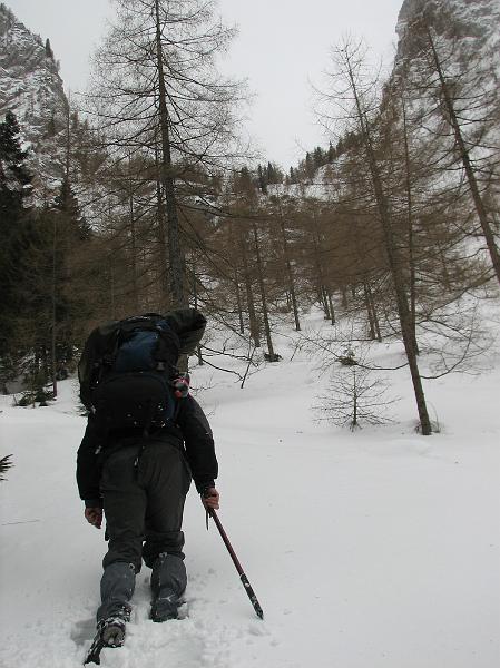 2009_03_RAX_0003.JPG