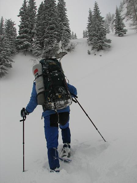 2009_03_RAX_0017.JPG