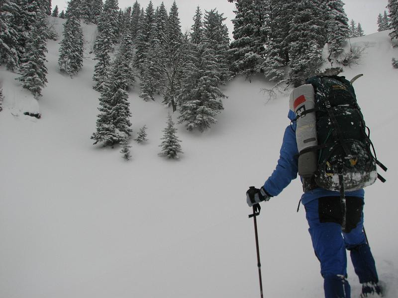 2009_03_RAX_0018.JPG