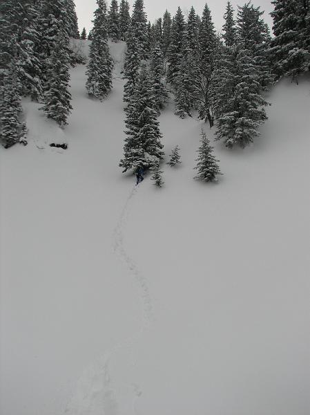 2009_03_RAX_0020.JPG