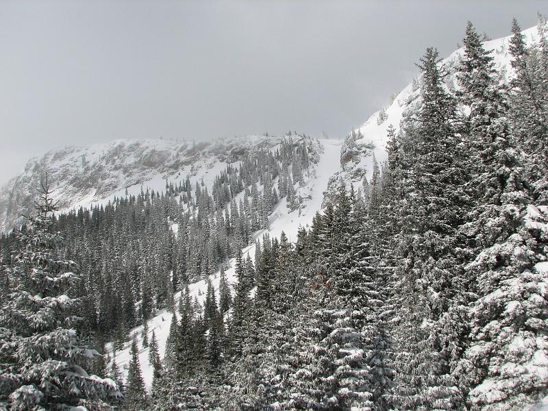 2009_03_RAX_0021.JPG