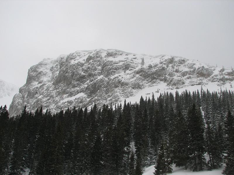 2009_03_RAX_0024.JPG