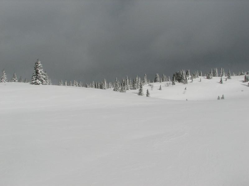 2009_03_RAX_0033.JPG