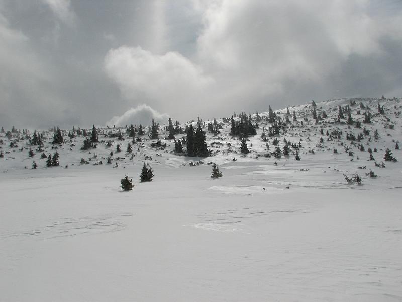 2009_03_RAX_0034.JPG
