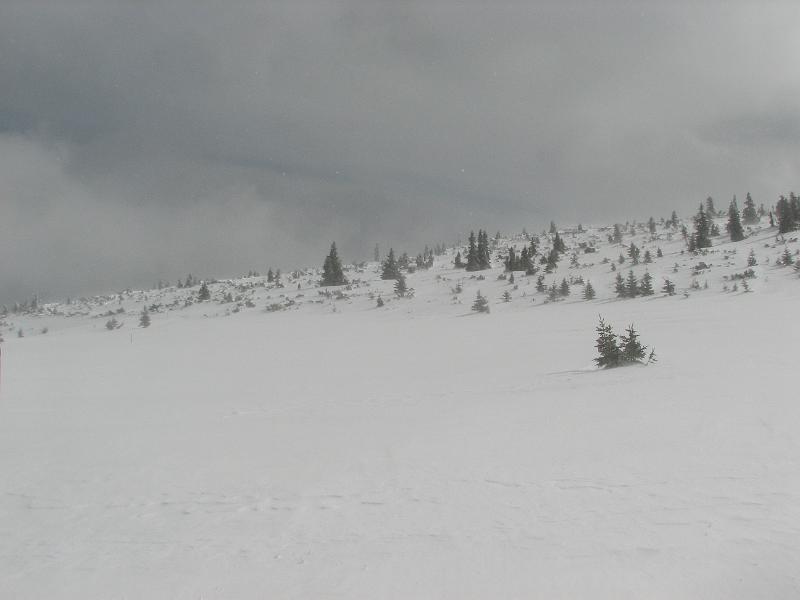 2009_03_RAX_0035.JPG