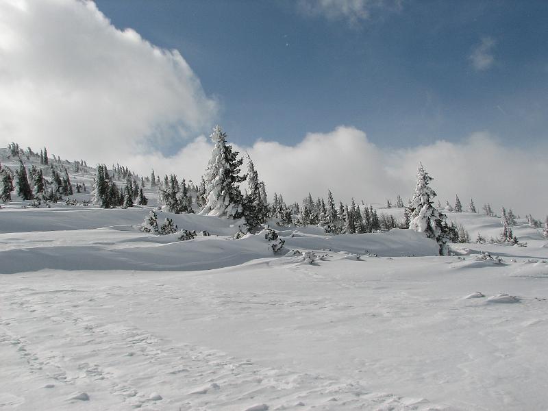 2009_03_RAX_0041.JPG