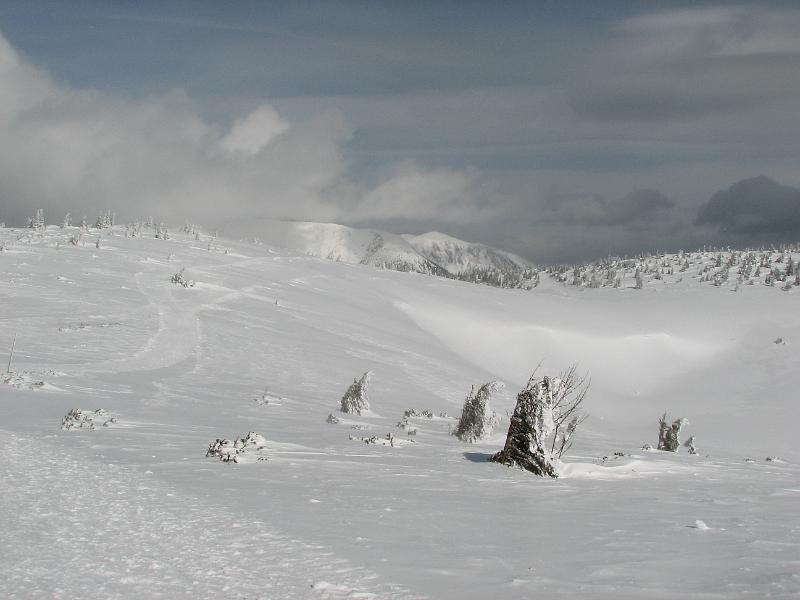 2009_03_RAX_0043.JPG