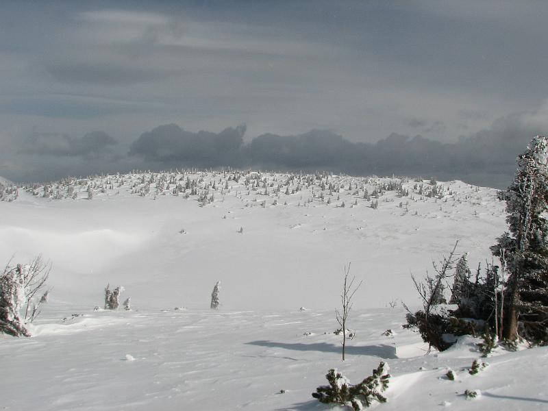 2009_03_RAX_0044.JPG