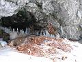 2009_03_RAX_0013