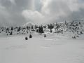 2009_03_RAX_0034