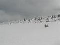 2009_03_RAX_0035