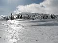 2009_03_RAX_0039