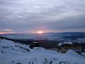 IMG_1241